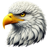 Eagle Contractor Logo
